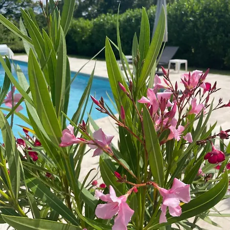 La Grange Du Barry Bed & Breakfast Belveze