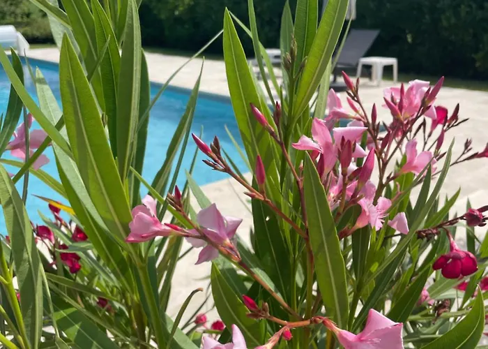 La Grange Du Barry Bed and Breakfast Belveze